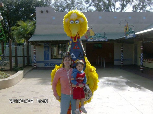 Татьяна Холманская