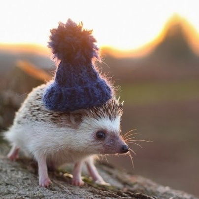 Екатерина Сергеевна