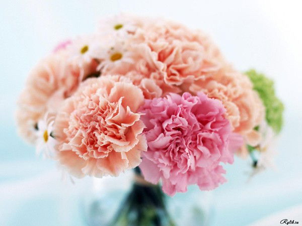 Юлия Плешкова