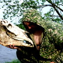 Роман Золотых