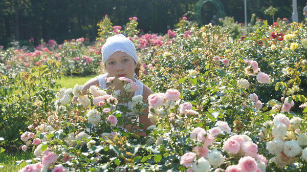 Анфиска-Киска *