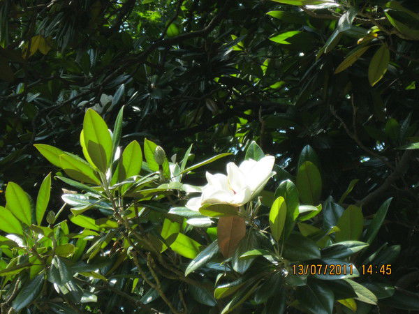 Татьяна Жилякова