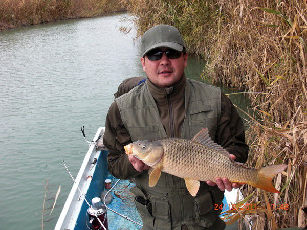 Ерлан Калиев