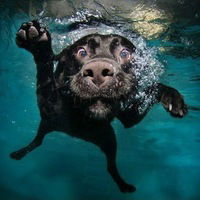 Андрей Бобылёв