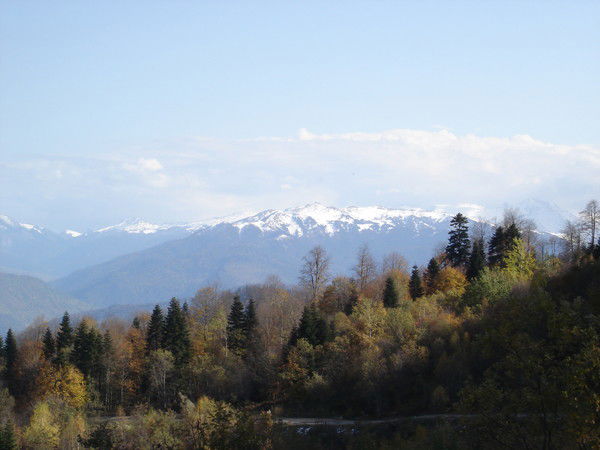 Елена Брагина