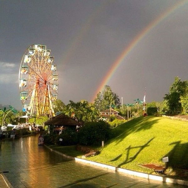 Наталья Аверина