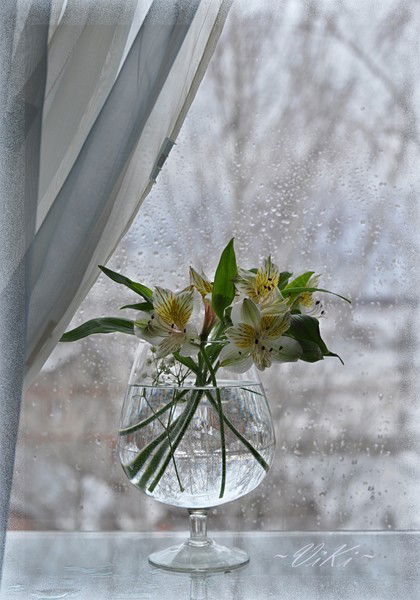 Мадина Кошкинбаева