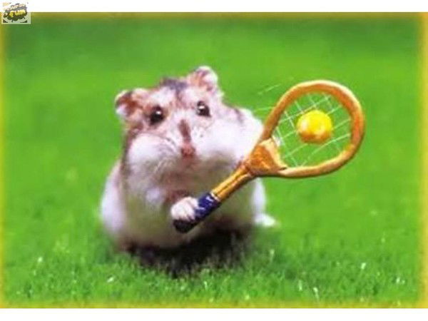 Арина Феофанова