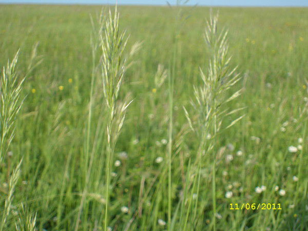 Алексей Юдин