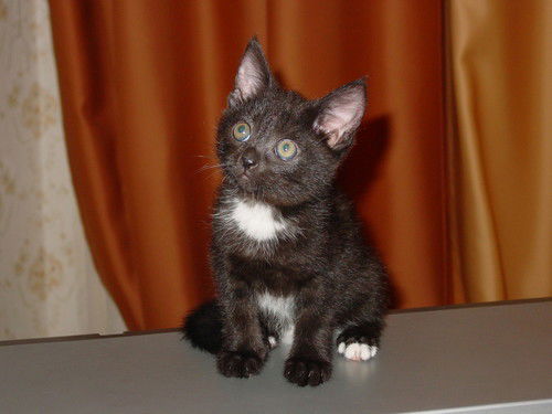 Богимов Евгений