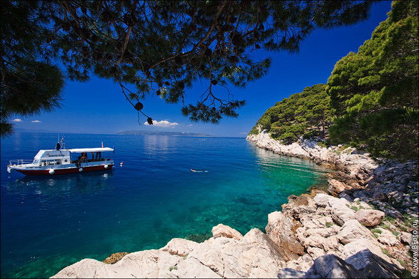 Рейхана Тагиева