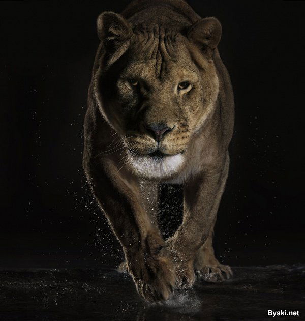 Елена Усольцева