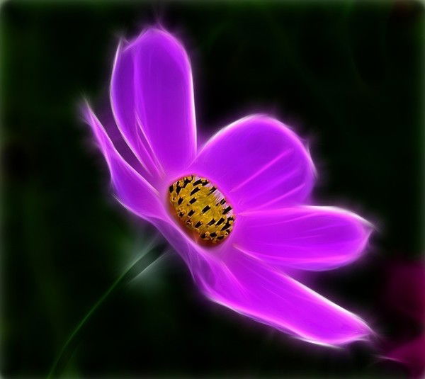 Лидия Ивонина