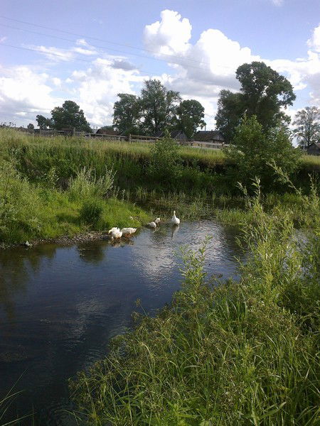 Галина Крючкова