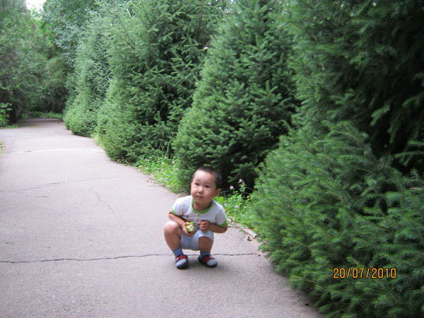 Диана Карабжанова