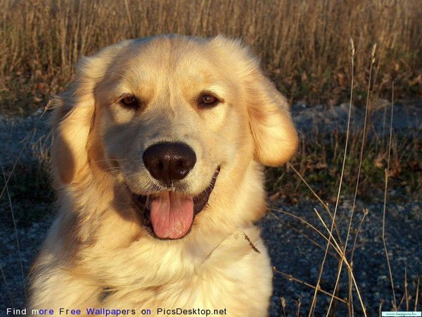 Наталья Ильина