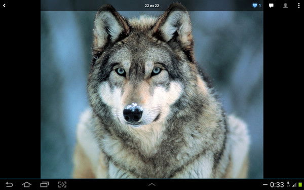 Артем Мякотин