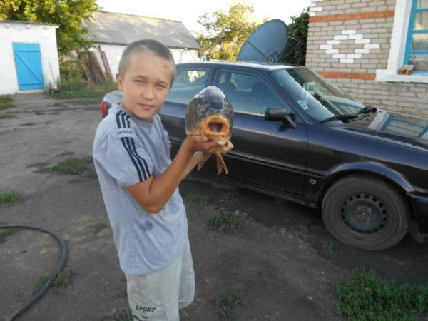 Максим Кандауров