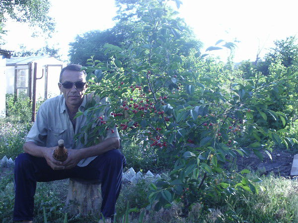 Олег Виниченко