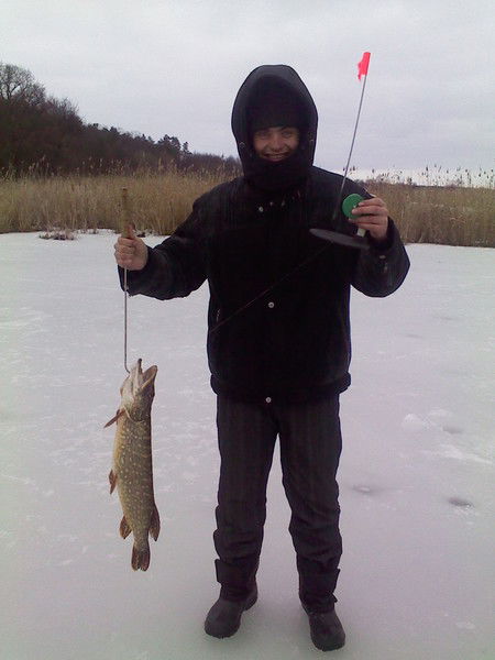 Вячеслав Запорожченко