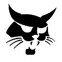 Дмитрий Лягин (Kayron)