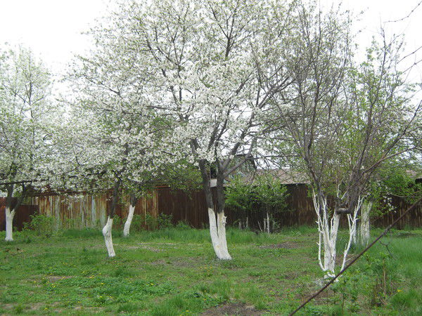 Турсын Кужбанова