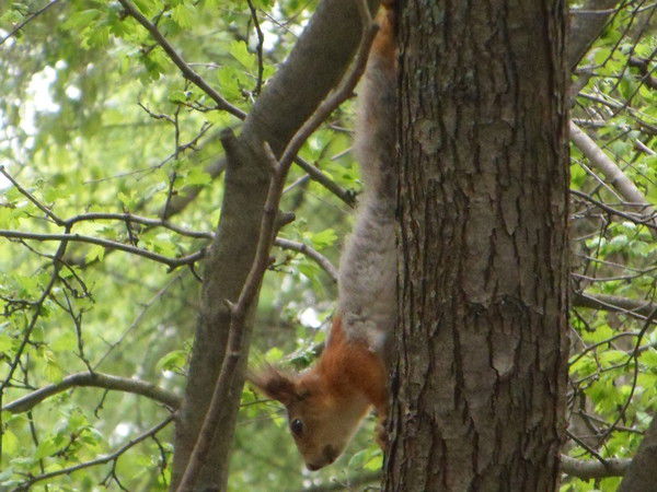 Валентина Бурыкина