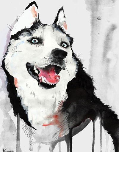 Аделина Комаровских