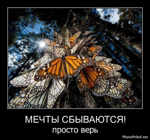 Нурия Паншаева