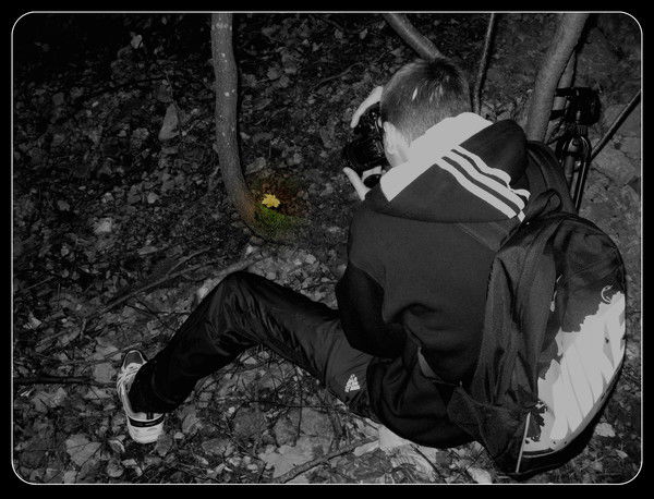 Дмитрий Ребров