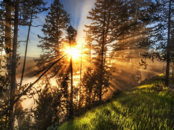 Олжас Айдаров