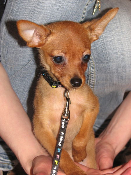 Андрей Раков