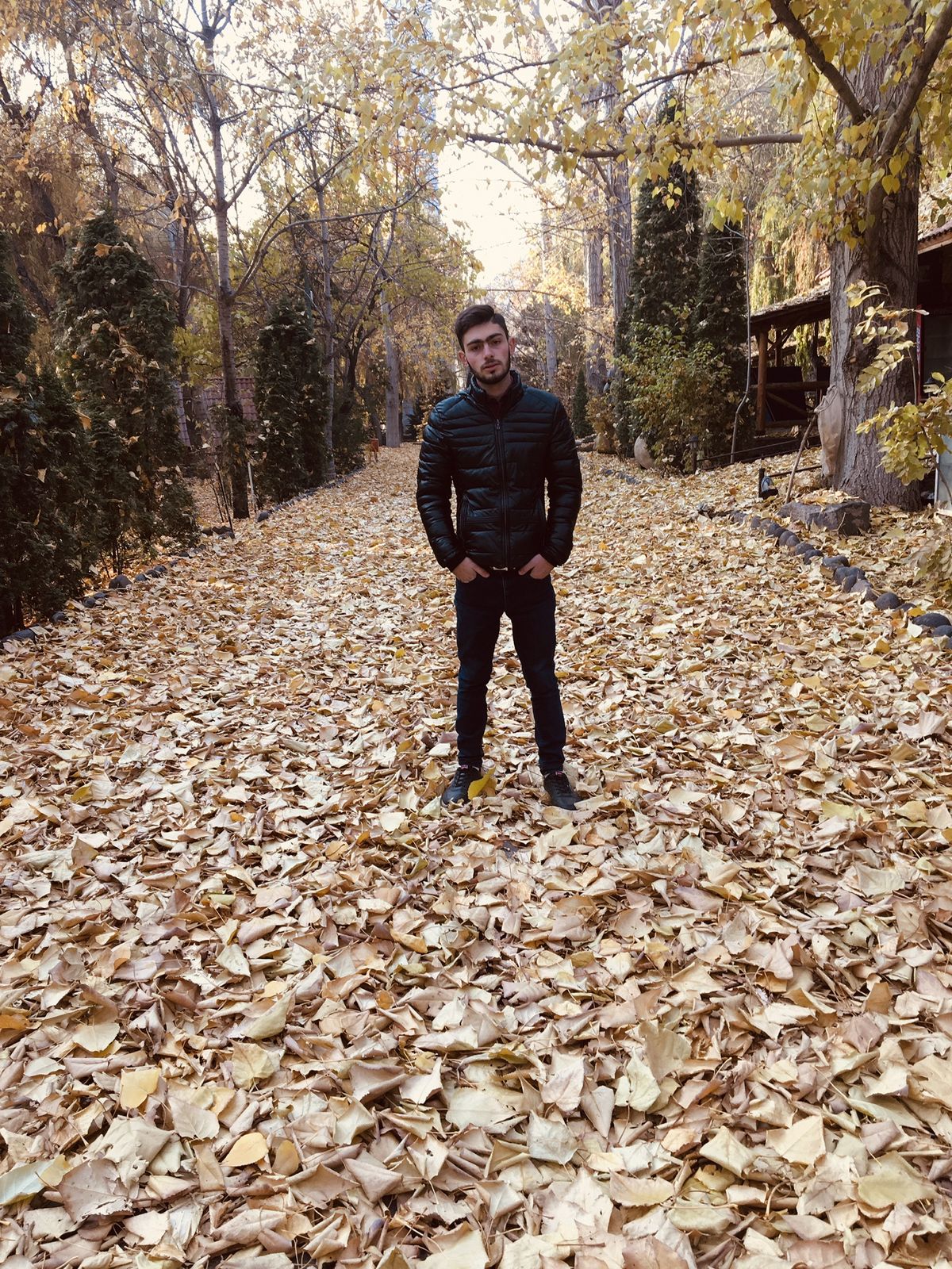 ▓✵۞⁞A⁞R҉⁞A⁞M⁞۞✵▓