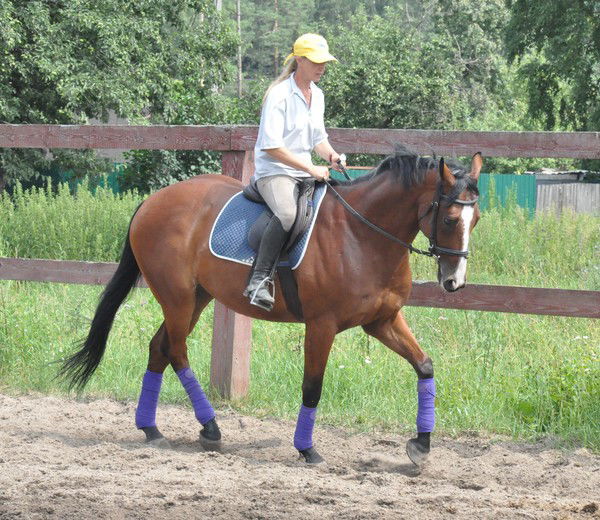 Лариса Михайлова