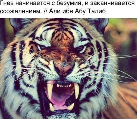 Сайгид Магомедрасулов