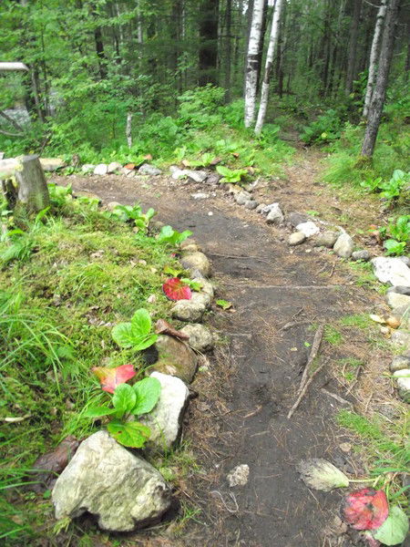 Ольга Вольхина