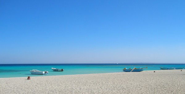 Надежда Тойкичева