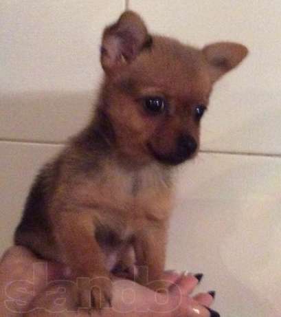 Про100 Человек