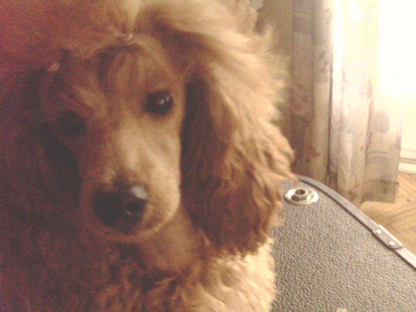 Юлия Козлова