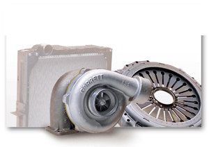 Вячеслав Бевза