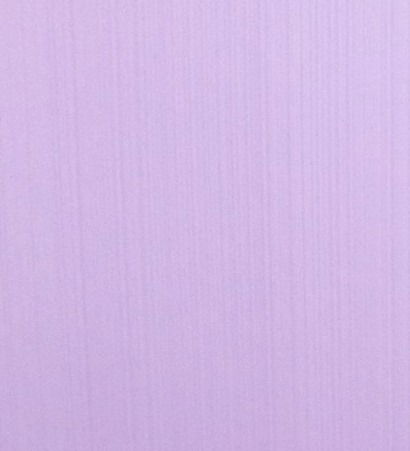 Ольга Рыбкина