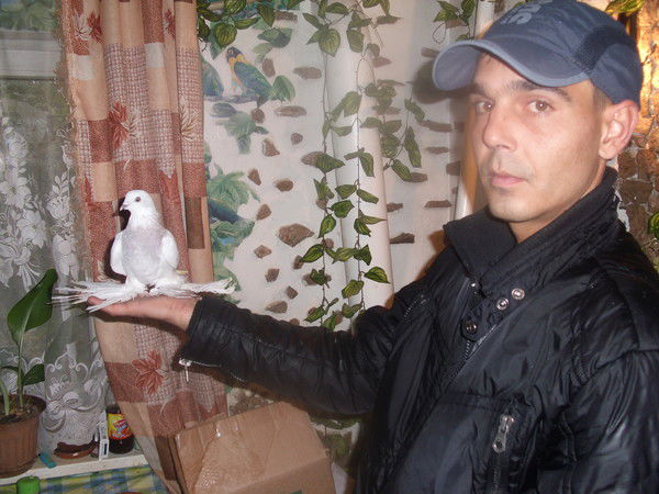 Виталий Прейс