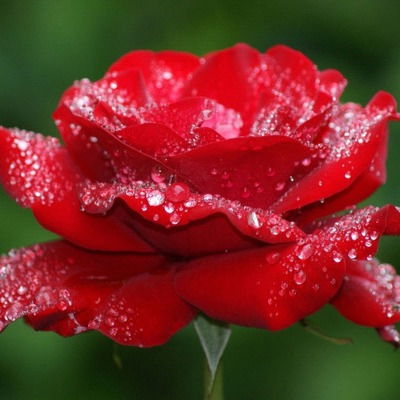 Лилия Даутова