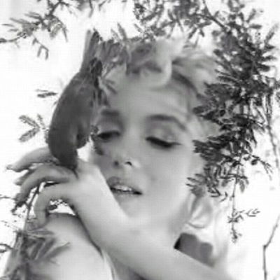 Алла Спирина