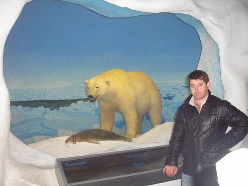 M.t.s.d. Talisveiber