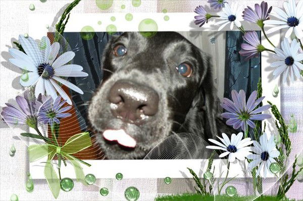 Татьяна Демидова