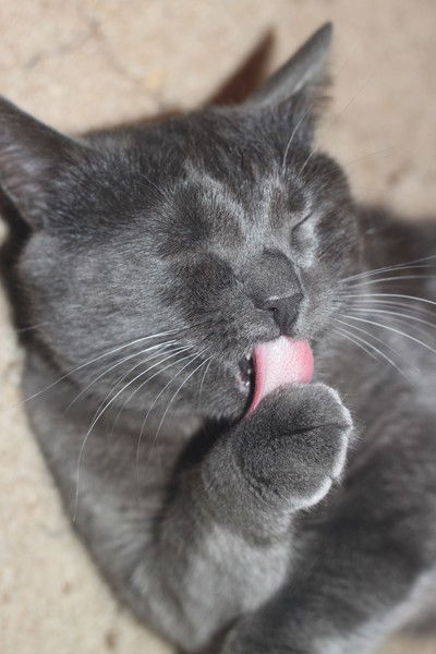 Татьяна Иванова