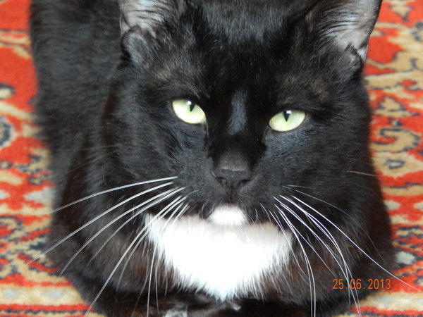 Баранова Олеся