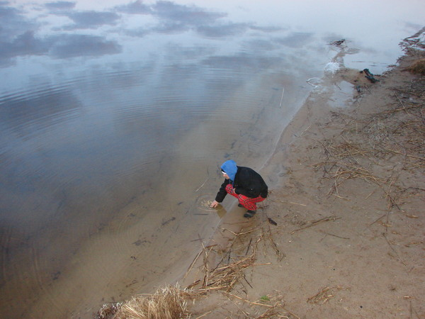 Сергей Нестеров