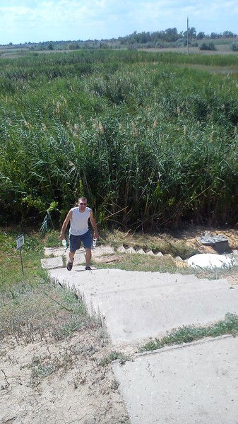 Николай Колозин